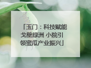 玉门：科技赋能戈壁绿洲 小院引领蜜瓜产业振兴