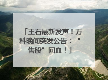 王石最新发声！万科晚间突发公告：“售股”回血！