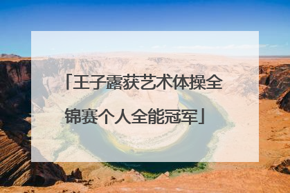 王子露获艺术体操全锦赛个人全能冠军