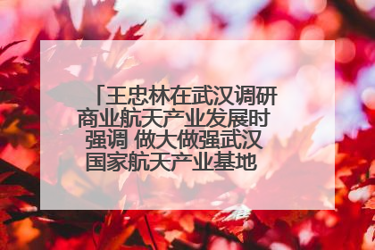 王忠林在武汉调研商业航天产业发展时强调 做大做强武汉国家航天产业基地 打造具有全国影响力的“中国星谷”