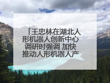 王忠林在湖北人形机器人创新中心调研时强调 加快推动人形机器人产业高质量发展 打造具有全国影响力的研发创新基地