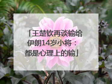 王楚钦再谈输给伊朗14岁小将：都是心理上的输