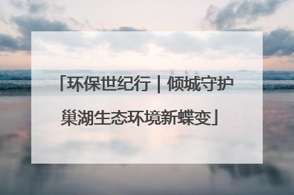 环保世纪行｜倾城守护 巢湖生态环境新蝶变