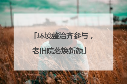 环境整治齐参与，老旧院落焕新颜