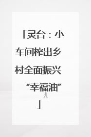 灵台：小车间榨出乡村全面振兴“幸福油”