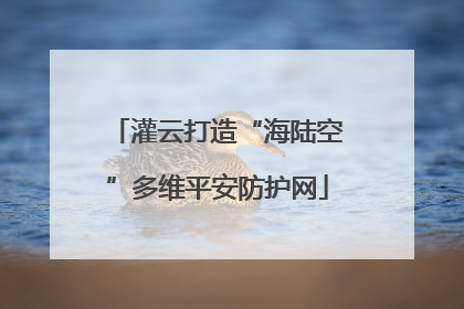 灌云打造“海陆空”多维平安防护网