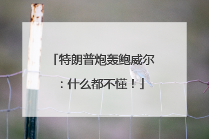 特朗普炮轰鲍威尔：什么都不懂！