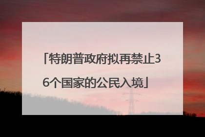 特朗普政府拟再禁止36个国家的公民入境
