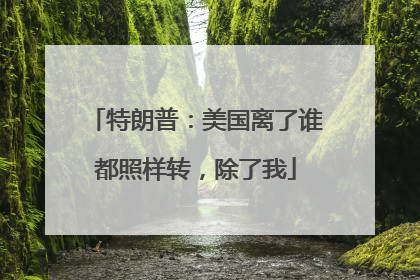 特朗普：美国离了谁都照样转，除了我