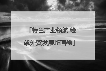 特色产业领航 绘就外贸发展新画卷