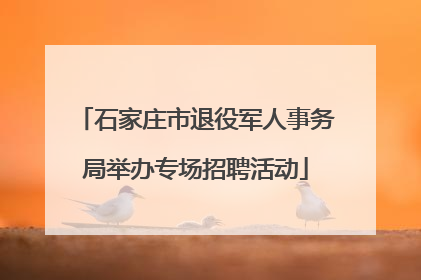 石家庄市退役军人事务局举办专场招聘活动