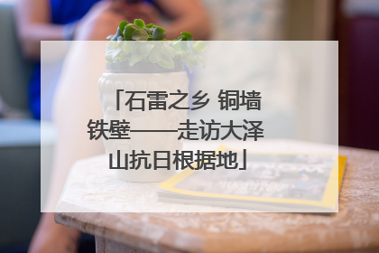 石雷之乡 铜墙铁壁——走访大泽山抗日根据地