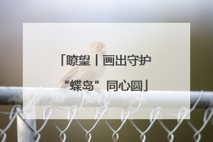瞭望丨画出守护“蝶岛”同心圆