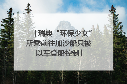 瑞典“环保少女”所乘前往加沙船只被以军登船控制