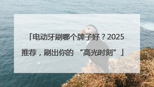电动牙刷哪个牌子好？2025推荐，刷出你的 “高光时刻”