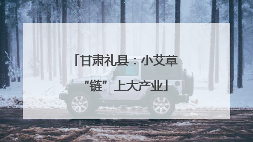 甘肃礼县：小艾草“链”上大产业