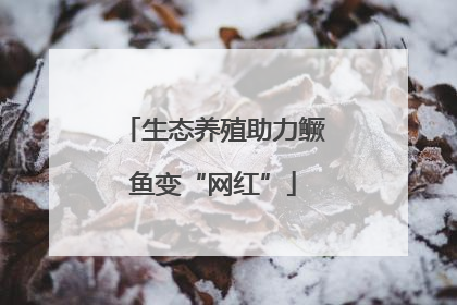 生态养殖助力鳜鱼变“网红”