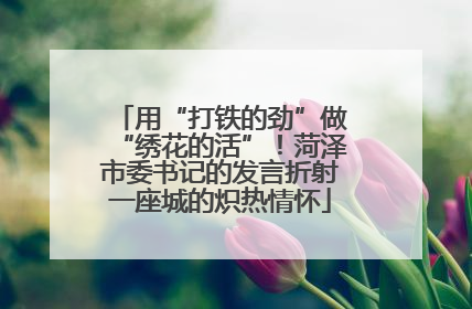 用“打铁的劲”做“绣花的活”！菏泽市委书记的发言折射一座城的炽热情怀
