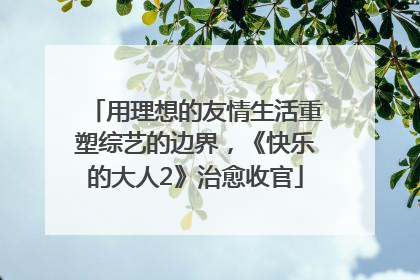 用理想的友情生活重塑综艺的边界，《快乐的大人2》治愈收官