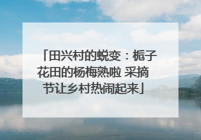 田兴村的蜕变：栀子花田的杨梅熟啦 采摘节让乡村热闹起来