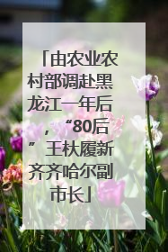 由农业农村部调赴黑龙江一年后，“80后”王杕履新齐齐哈尔副市长