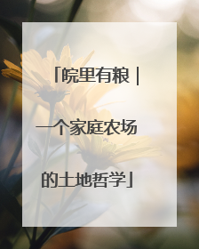 皖里有粮｜一个家庭农场的土地哲学
