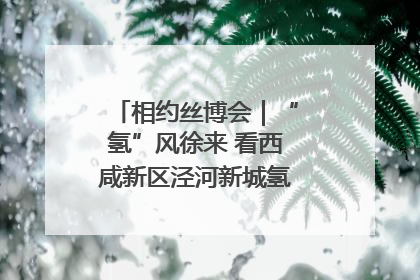 相约丝博会｜“氢”风徐来 看西咸新区泾河新城氢能产业聚链成势