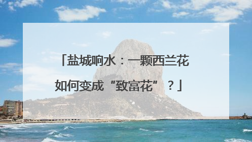 盐城响水：一颗西兰花如何变成“致富花”？