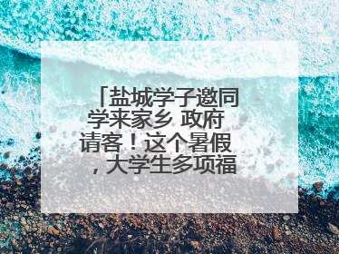盐城学子邀同学来家乡 政府请客！这个暑假，大学生多项福利免费游盐城