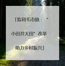监利毛市镇：“小田并大田”改革 助力乡村振兴