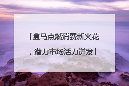盒马点燃消费新火花，潜力市场活力迸发