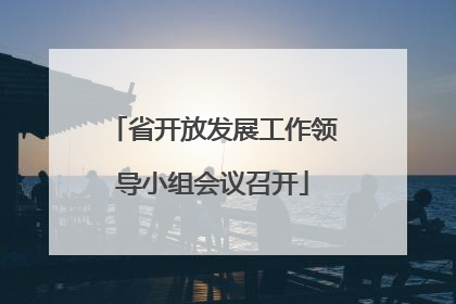 省开放发展工作领导小组会议召开