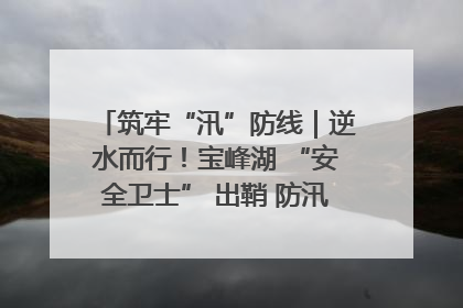 筑牢“汛”防线｜逆水而行！宝峰湖 “安全卫士” 出鞘 防汛应急再添硬核力量