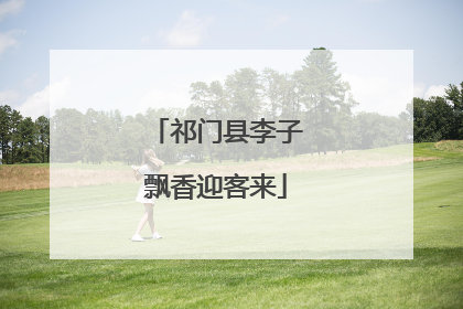 祁门县李子飘香迎客来