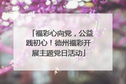 福彩心向党，公益践初心！德州福彩开展主题党日活动