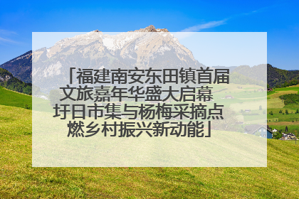 福建南安东田镇首届文旅嘉年华盛大启幕 圩日市集与杨梅采摘点燃乡村振兴新动能