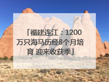 福建连江：1200万只海马历经8个月培育 迎来收获季