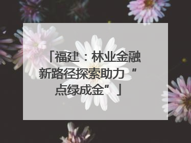 福建：林业金融新路径探索助力“点绿成金”