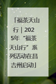 福茶天山行｜2025年“福茶天山行”系列活动在昌吉州启动