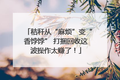 秸秆从“麻烦”变“香饽饽” 打捆回收这波操作太赚了！