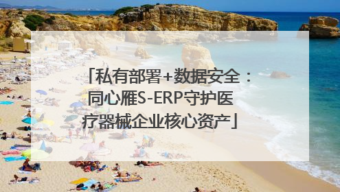 私有部署+数据安全：同心雁S-ERP守护医疗器械企业核心资产