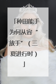 种田能手为何从容“放手”（三夏进行时）