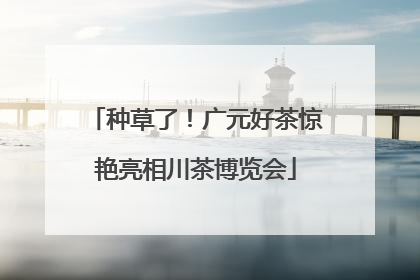 种草了！广元好茶惊艳亮相川茶博览会