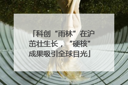 科创“雨林”在沪茁壮生长，“硬核”成果吸引全球目光