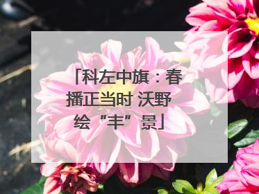 科左中旗：春播正当时 沃野绘“丰”景