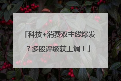 科技+消费双主线爆发？多股评级获上调！