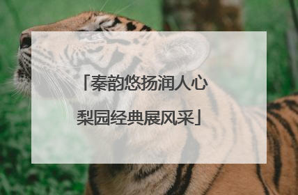秦韵悠扬润人心 梨园经典展风采
