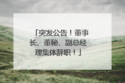 突发公告！董事长、董秘、副总经理集体辞职！