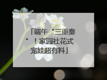端午“三重奏”！家园社花式宠娃超有料