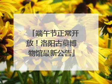 端午节正常开放！洛阳古墓博物馆最新公告